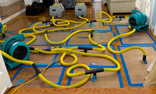 Professional Flood Damage Restoration technician working in Ragland, AL